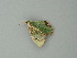 ( - BC ZSM Lep 62607)  @12 [ ] CreativeCommons - Attribution Non-Commercial Share-Alike (2012) Axel Hausmann/Bavarian State Collection of Zoology (ZSM) SNSB, Zoologische Staatssammlung Muenchen