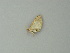  (Scopula AH04Ph - BC ZSM Lep 62645)  @12 [ ] CreativeCommons - Attribution Non-Commercial Share-Alike (2012) Axel Hausmann/Bavarian State Collection of Zoology (ZSM) SNSB, Zoologische Staatssammlung Muenchen