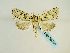  ( - BC ZSM Lep 58755)  @14 [ ] CreativeCommons - Attribution Non-Commercial Share-Alike (2012) Axel Hausmann/Bavarian State Collection of Zoology (ZSM) SNSB, Zoologische Staatssammlung Muenchen