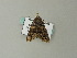  ( - BC ZSM Lep 65846)  @12 [ ] CreativeCommons - Attribution Non-Commercial Share-Alike (2012) Axel Hausmann/Bavarian State Collection of Zoology (ZSM) SNSB, Zoologische Staatssammlung Muenchen