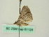  (Dichromodes AH05Au - BC ZSM Lep 61124)  @12 [ ] CreativeCommons - Attribution Non-Commercial Share-Alike (2012) Axel Hausmann/Bavarian State Collection of Zoology (ZSM) SNSB, Zoologische Staatssammlung Muenchen