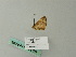  ( - BC ZSM Lep 64892)  @11 [ ] CreativeCommons - Attribution Non-Commercial Share-Alike (2012) Axel Hausmann/Bavarian State Collection of Zoology (ZSM) SNSB, Zoologische Staatssammlung Muenchen