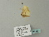  (Idaea AH02Gg - BC ZSM Lep 64922)  @11 [ ] CreativeCommons - Attribution Non-Commercial Share-Alike (2012) Axel Hausmann/Bavarian State Collection of Zoology (ZSM) SNSB, Zoologische Staatssammlung Muenchen