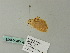  ( - BC ZSM Lep 64926)  @12 [ ] CreativeCommons - Attribution Non-Commercial Share-Alike (2012) Axel Hausmann/Bavarian State Collection of Zoology (ZSM) SNSB, Zoologische Staatssammlung Muenchen