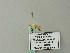  ( - BC ZSM Lep 66496)  @12 [ ] CreativeCommons - Attribution Non-Commercial Share-Alike (2012) Axel Hausmann/Bavarian State Collection of Zoology (ZSM) SNSB, Zoologische Staatssammlung Muenchen