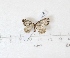  ( - BC AxYi 0188)  @13 [ ] Copyright (2013) Y.Zou IZCAS