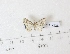  ( - BC AxYi 0221)  @12 [ ] Copyright (2013) Y.Zou IZCAS