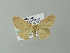  ( - BC ZSM Lep 73965)  @13 [ ] CreativeCommons - Attribution Non-Commercial Share-Alike (2013) Axel Hausmann/Bavarian State Collection of Zoology (ZSM) SNSB, Zoologische Staatssammlung Muenchen