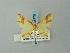  (Eois cyniras - BC ZSM Lep 68770)  @13 [ ] CreativeCommons - Attribution Non-Commercial Share-Alike (2014) Axel Hausmann/Bavarian State Collection of Zoology (ZSM) SNSB, Zoologische Staatssammlung Muenchen