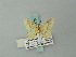  (Eois sagittaria - BC ZSM Lep 68775)  @13 [ ] CreativeCommons - Attribution Non-Commercial Share-Alike (2014) Axel Hausmann/Bavarian State Collection of Zoology (ZSM) SNSB, Zoologische Staatssammlung Muenchen