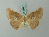  ( - BC ZSM Lep 68827)  @14 [ ] CreativeCommons - Attribution Non-Commercial Share-Alike (2014) Axel Hausmann/Bavarian State Collection of Zoology (ZSM) SNSB, Zoologische Staatssammlung Muenchen