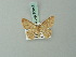  ( - BC ZSM Lep 70041)  @12 [ ] CreativeCommons - Attribution Non-Commercial Share-Alike (2014) Axel Hausmann/Bavarian State Collection of Zoology (ZSM) SNSB, Zoologische Staatssammlung Muenchen