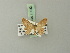  (Pleuroprucha protopages - BC ZSM Lep 70043)  @12 [ ] CreativeCommons - Attribution Non-Commercial Share-Alike (2014) Axel Hausmann/Bavarian State Collection of Zoology (ZSM) SNSB, Zoologische Staatssammlung Muenchen
