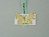  ( - BC ZSM Lep 70413)  @11 [ ] CreativeCommons - Attribution Non-Commercial Share-Alike (2014) Axel Hausmann/Bavarian State Collection of Zoology (ZSM) SNSB, Zoologische Staatssammlung Muenchen