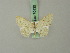  (Scopula privata - BC ZSM Lep 70430)  @13 [ ] CreativeCommons - Attribution Non-Commercial Share-Alike (2014) Axel Hausmann/Bavarian State Collection of Zoology (ZSM) SNSB, Zoologische Staatssammlung Muenchen
