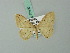  (Scopula detentata - BC ZSM Lep 70450)  @13 [ ] CreativeCommons - Attribution Non-Commercial Share-Alike (2014) Axel Hausmann/Bavarian State Collection of Zoology (ZSM) SNSB, Zoologische Staatssammlung Muenchen