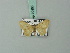  (Idaea actiosaria - BC ZSM Lep 70466)  @11 [ ] CreativeCommons - Attribution Non-Commercial Share-Alike (2014) Axel Hausmann/Bavarian State Collection of Zoology (ZSM) SNSB, Zoologische Staatssammlung Muenchen
