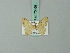  (Idaea submaculata - BC ZSM Lep 70468)  @11 [ ] CreativeCommons - Attribution Non-Commercial Share-Alike (2014) Axel Hausmann/Bavarian State Collection of Zoology (ZSM) SNSB, Zoologische Staatssammlung Muenchen