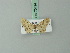  (Idaea bura - BC ZSM Lep 70494)  @11 [ ] CreativeCommons - Attribution Non-Commercial Share-Alike (2014) Axel Hausmann/Bavarian State Collection of Zoology (ZSM) SNSB, Zoologische Staatssammlung Muenchen