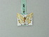  (Idaea phaeocrossa - BC ZSM Lep 70495)  @11 [ ] CreativeCommons - Attribution Non-Commercial Share-Alike (2014) Axel Hausmann/Bavarian State Collection of Zoology (ZSM) SNSB, Zoologische Staatssammlung Muenchen