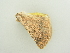  ( - BC ZSM Lep 81281)  @13 [ ] CreativeCommons - Attribution Non-Commercial Share-Alike (2014) Axel Hausmann/Bavarian State Collection of Zoology (ZSM) SNSB, Zoologische Staatssammlung Muenchen