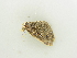  ( - BC ZSM Lep 81439)  @12 [ ] CreativeCommons - Attribution Non-Commercial Share-Alike (2014) Axel Hausmann/Bavarian State Collection of Zoology (ZSM) SNSB, Zoologische Staatssammlung Muenchen