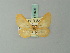  (Eubaphe deceptata - BC ZSM Lep 71596)  @11 [ ] CreativeCommons - Attribution Non-Commercial Share-Alike (2015) Axel Hausmann/Bavarian State Collection of Zoology (ZSM) SNSB, Zoologische Staatssammlung Muenchen