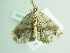  ( - BC ZSM Lep 86360)  @13 [ ] CreativeCommons - Attribution Non-Commercial Share-Alike (2015) Axel Hausmann/Bavarian State Collection of Zoology (ZSM) SNSB, Zoologische Staatssammlung Muenchen