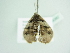 ( - BC ZSM Lep 86382)  @12 [ ] CreativeCommons - Attribution Non-Commercial Share-Alike (2015) Axel Hausmann/Bavarian State Collection of Zoology (ZSM) SNSB, Zoologische Staatssammlung Muenchen