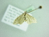  (Idaea BOLD:ACW8044 - BC ZSM Lep 88384)  @13 [ ] CreativeCommons - Attribution Non-Commercial Share-Alike (2015) Axel Hausmann/Bavarian State Collection of Zoology (ZSM) SNSB, Zoologische Staatssammlung Muenchen