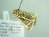  ( - BC ZSM Lep 88451)  @13 [ ] CreativeCommons - Attribution Non-Commercial Share-Alike (2015) Axel Hausmann/Bavarian State Collection of Zoology (ZSM) SNSB, Zoologische Staatssammlung Muenchen