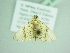  ( - BC ZSM Lep 88610)  @12 [ ] CreativeCommons - Attribution Non-Commercial Share-Alike (2015) Axel Hausmann/Bavarian State Collection of Zoology (ZSM) SNSB, Zoologische Staatssammlung Muenchen