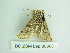  ( - BC ZSM Lep 88666)  @12 [ ] CreativeCommons - Attribution Non-Commercial Share-Alike (2015) Axel Hausmann/Bavarian State Collection of Zoology (ZSM) SNSB, Zoologische Staatssammlung Muenchen