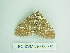  ( - BC ZSM Lep 88692)  @12 [ ] CreativeCommons - Attribution Non-Commercial Share-Alike (2015) Axel Hausmann/Bavarian State Collection of Zoology (ZSM) SNSB, Zoologische Staatssammlung Muenchen