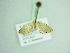  ( - BC ZSM Lep 88852)  @12 [ ] CreativeCommons - Attribution Non-Commercial Share-Alike (2015) Axel Hausmann/Bavarian State Collection of Zoology (ZSM) SNSB, Zoologische Staatssammlung Muenchen
