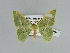  ( - BC ZSM Lep 89796)  @13 [ ] CreativeCommons - Attribution Non-Commercial Share-Alike (2015) Axel Hausmann/Bavarian State Collection of Zoology (ZSM) SNSB, Zoologische Staatssammlung Muenchen