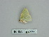  ( - BC ZSM Lep 89866)  @12 [ ] CreativeCommons - Attribution Non-Commercial Share-Alike (2015) Axel Hausmann/Bavarian State Collection of Zoology (ZSM) SNSB, Zoologische Staatssammlung Muenchen