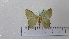  ( - BC ZSM Lep 92731)  @11 [ ] CreativeCommons - Attribution Non-Commercial Share-Alike (2016) SNSB, Staatliche Naturwissenschaftliche Sammlungen Bayerns ZSM (SNSB, Zoologische Staatssammlung Muenchen)