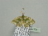  ( - BC ZSM Lep 93410)  @13 [ ] CreativeCommons - Attribution Non-Commercial Share-Alike (2016) SNSB, Staatliche Naturwissenschaftliche Sammlungen Bayerns ZSM (SNSB, Zoologische Staatssammlung Muenchen)