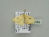  ( - BC ZSM Lep 93422)  @12 [ ] CreativeCommons - Attribution Non-Commercial Share-Alike (2016) SNSB, Staatliche Naturwissenschaftliche Sammlungen Bayerns ZSM (SNSB, Zoologische Staatssammlung Muenchen)