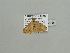  ( - BC ZSM Lep 93428)  @12 [ ] CreativeCommons - Attribution Non-Commercial Share-Alike (2016) SNSB, Staatliche Naturwissenschaftliche Sammlungen Bayerns ZSM (SNSB, Zoologische Staatssammlung Muenchen)