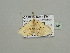  ( - BC ZSM Lep 93434)  @13 [ ] CreativeCommons - Attribution Non-Commercial Share-Alike (2016) SNSB, Staatliche Naturwissenschaftliche Sammlungen Bayerns ZSM (SNSB, Zoologische Staatssammlung Muenchen)