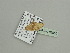  ( - BC ZSM Lep 93510)  @12 [ ] CreativeCommons - Attribution Non-Commercial Share-Alike (2016) SNSB, Staatliche Naturwissenschaftliche Sammlungen Bayerns ZSM (SNSB, Zoologische Staatssammlung Muenchen)