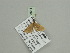  ( - BC ZSM Lep 93511)  @12 [ ] CreativeCommons - Attribution Non-Commercial Share-Alike (2016) SNSB, Staatliche Naturwissenschaftliche Sammlungen Bayerns ZSM (SNSB, Zoologische Staatssammlung Muenchen)