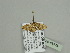  ( - BC ZSM Lep 93576)  @12 [ ] CreativeCommons - Attribution Non-Commercial Share-Alike (2016) SNSB, Staatliche Naturwissenschaftliche Sammlungen Bayerns ZSM (SNSB, Zoologische Staatssammlung Muenchen)