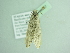  ( - BC ZSM Lep 94147)  @13 [ ] CreativeCommons - Attribution Non-Commercial Share-Alike (2016) SNSB, Staatliche Naturwissenschaftliche Sammlungen Bayerns ZSM (SNSB, Zoologische Staatssammlung Muenchen)