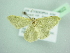  ( - BC ZSM Lep 98622)  @11 [ ] CreativeCommons - Attribution Non-Commercial Share-Alike (2017) SNSB, Staatliche Naturwissenschaftliche Sammlungen Bayerns ZSM (SNSB, Zoologische Staatssammlung Muenchen)