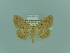  ( - BC ZSM Lep 97928)  @13 [ ] CreativeCommons - Attribution Non-Commercial Share-Alike (2017) SNSB, Staatliche Naturwissenschaftliche Sammlungen Bayerns ZSM (SNSB, Zoologische Staatssammlung Muenchen)