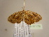  (Dirades AH08Ca - BC ZSM Lep 97179)  @12 [ ] CreativeCommons - Attribution Non-Commercial Share-Alike (2017) SNSB, Staatliche Naturwissenschaftliche Sammlungen Bayerns ZSM (SNSB, Zoologische Staatssammlung Muenchen)