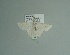  ( - BC ZSM Lep 98044)  @12 [ ] CreativeCommons - Attribution Non-Commercial Share-Alike (2017) SNSB, Staatliche Naturwissenschaftliche Sammlungen Bayerns ZSM (SNSB, Zoologische Staatssammlung Muenchen)